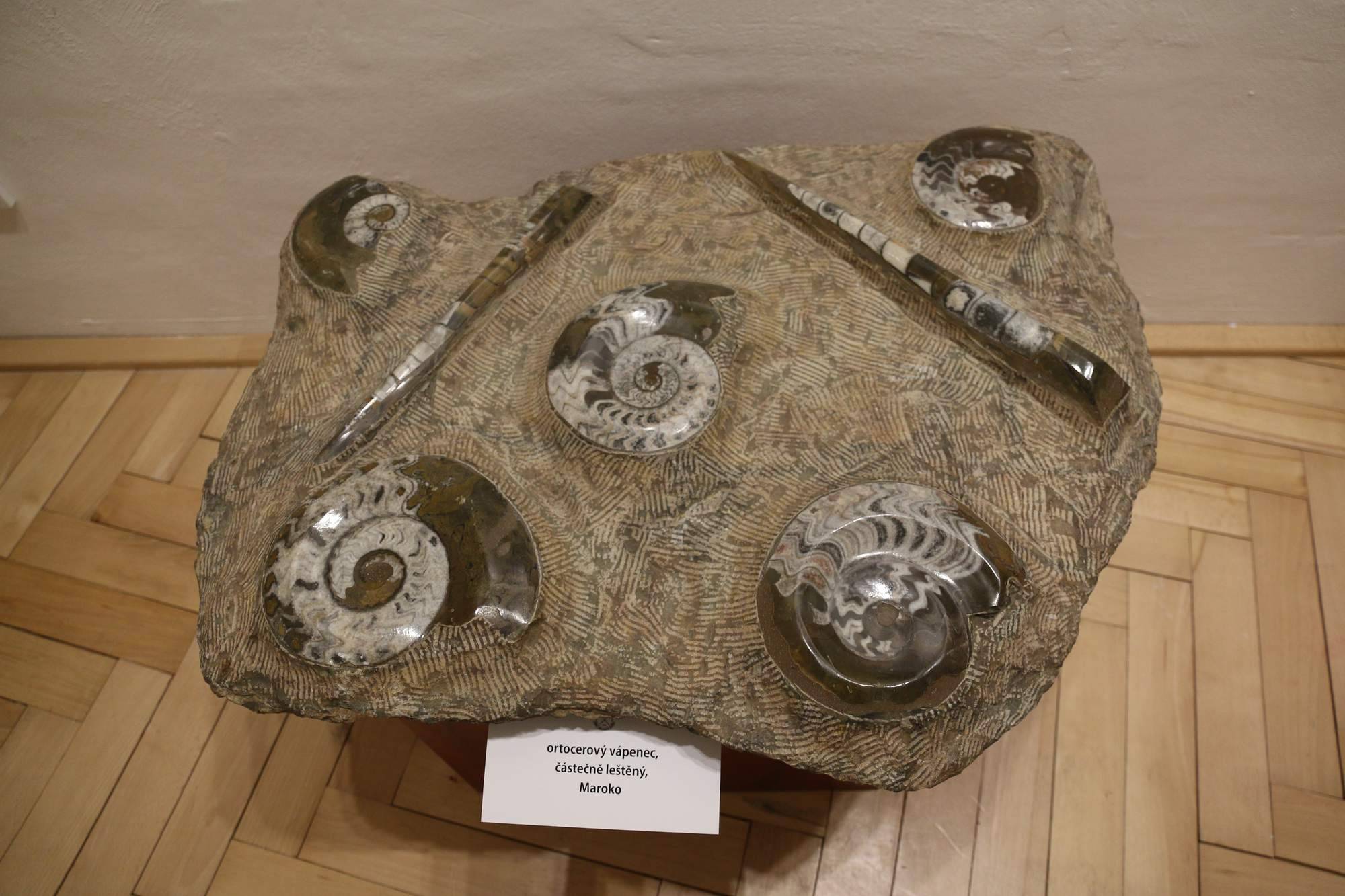 Mnoho tváří geologie (vernisáž)