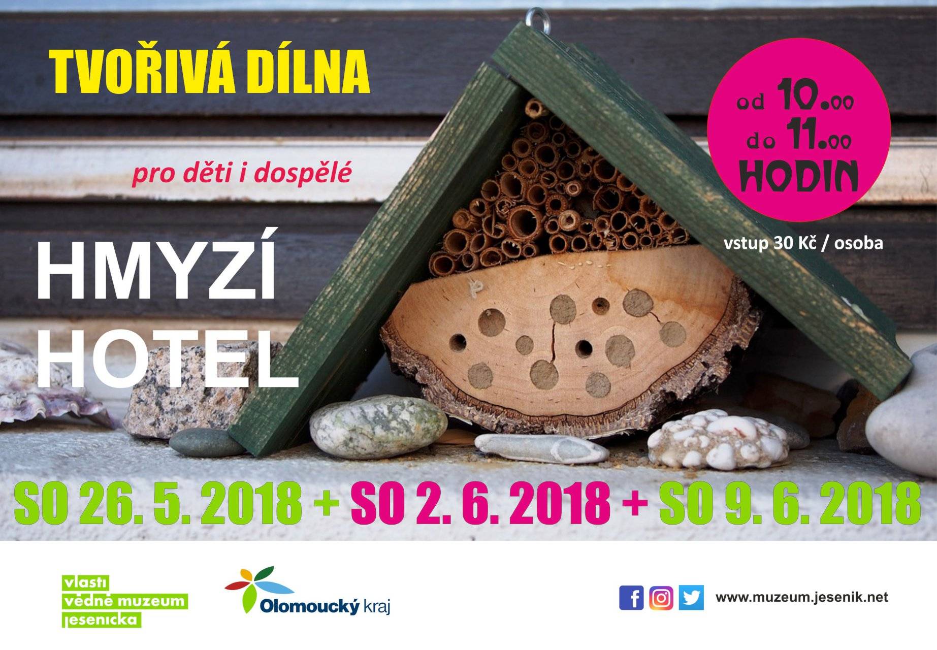 Hmyzí hotel (tvořivá dílna)