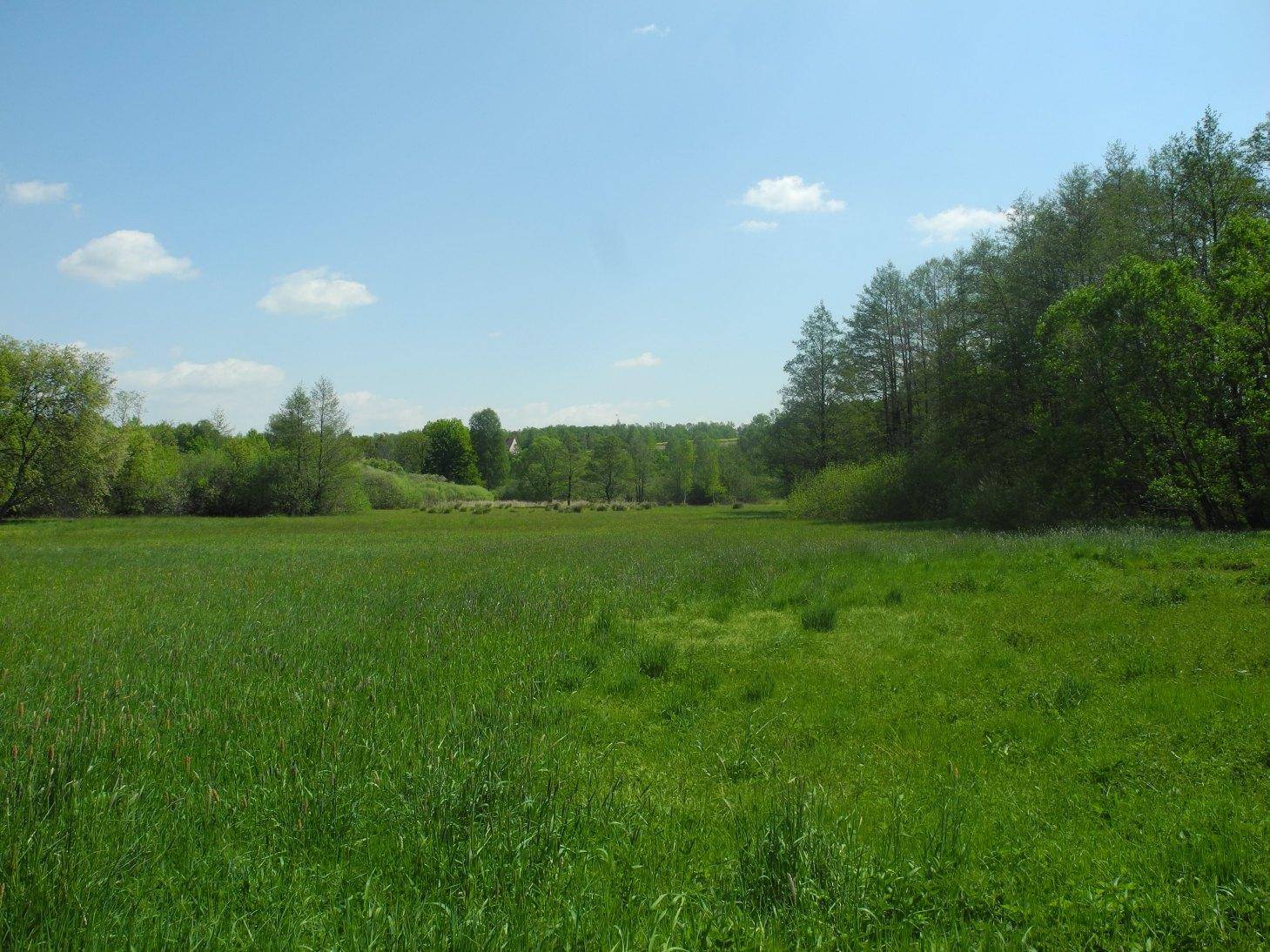 Vidnavská rašeliniště