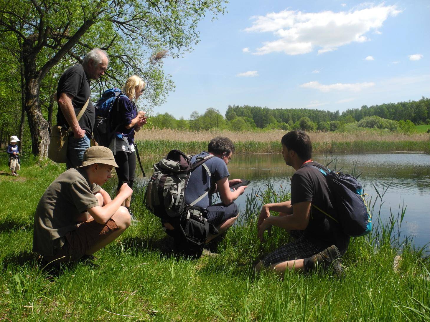 Vidnavské mokřiny