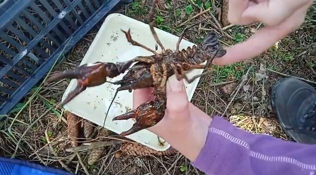 Hydrobiologická sekce T-expedice představila krátký videodokument