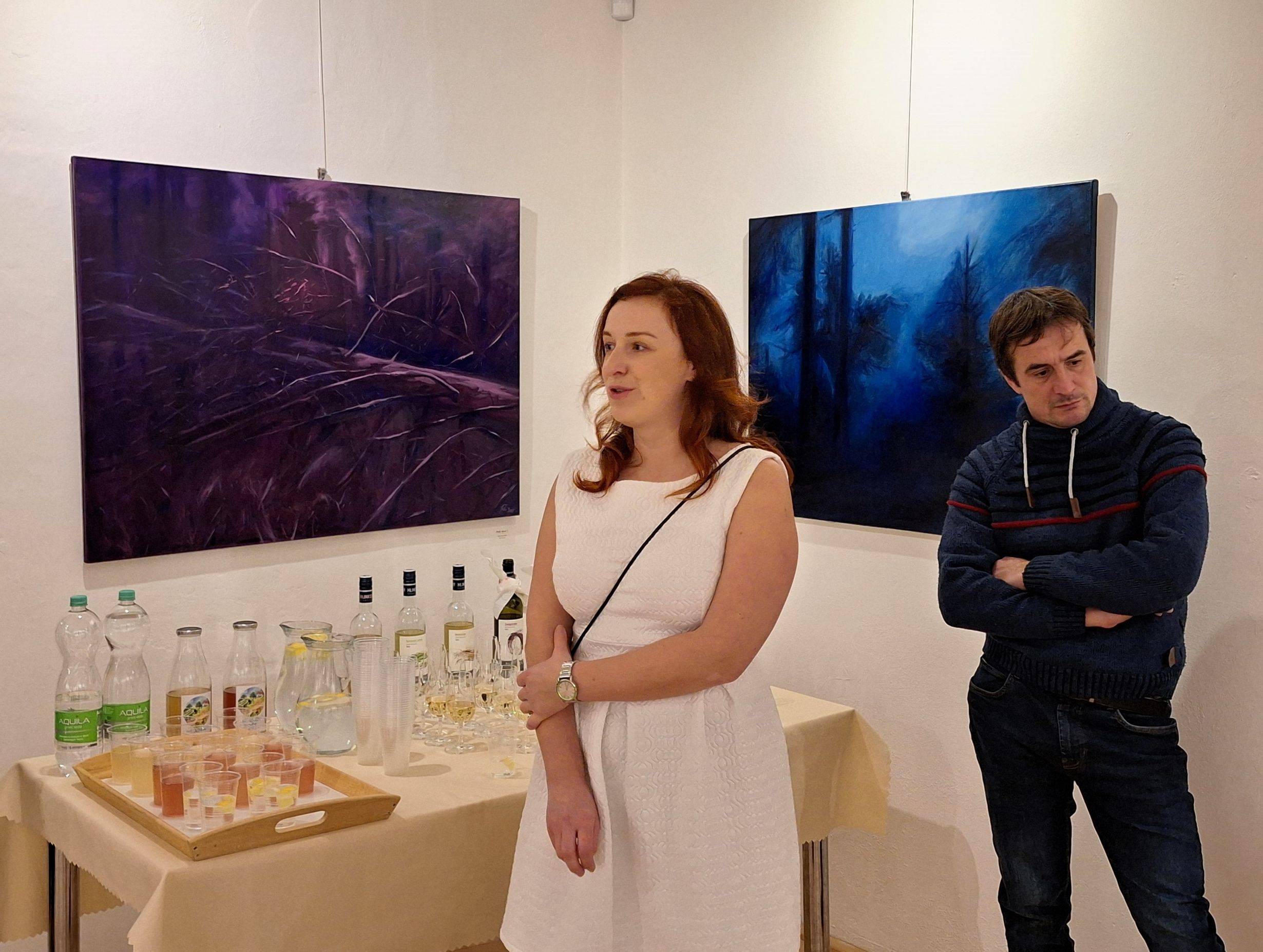 Dernisáž výstavy Z jihu na sever