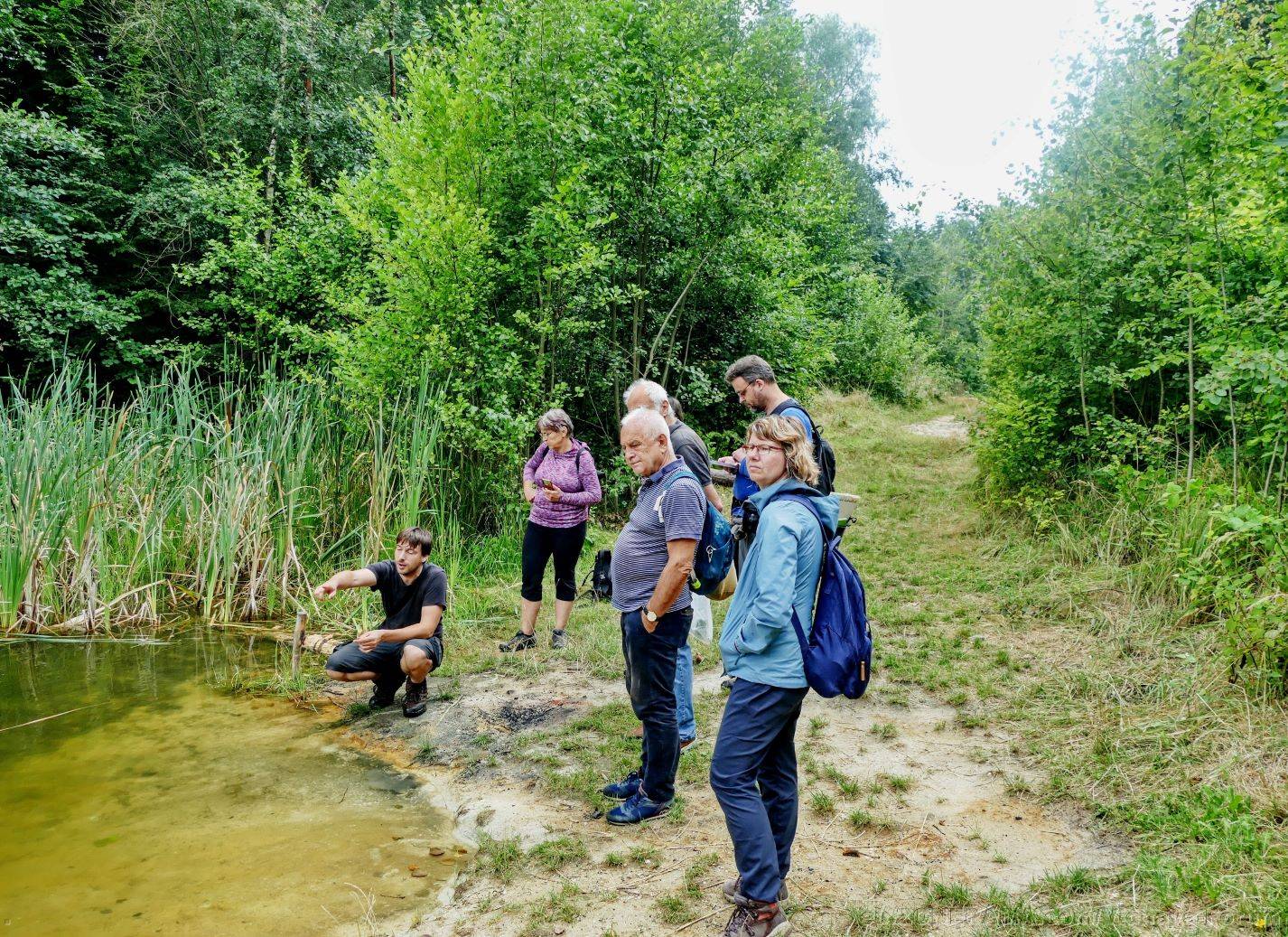 Býlí v bílé jámě: botanická exkurze do vidnavské kaolínky