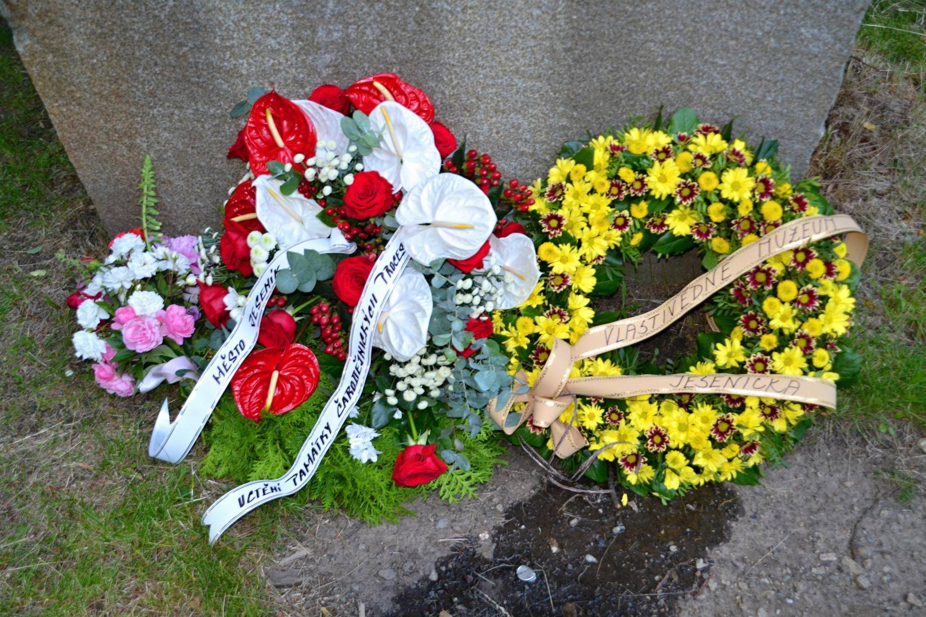 Foto M. Trávníček