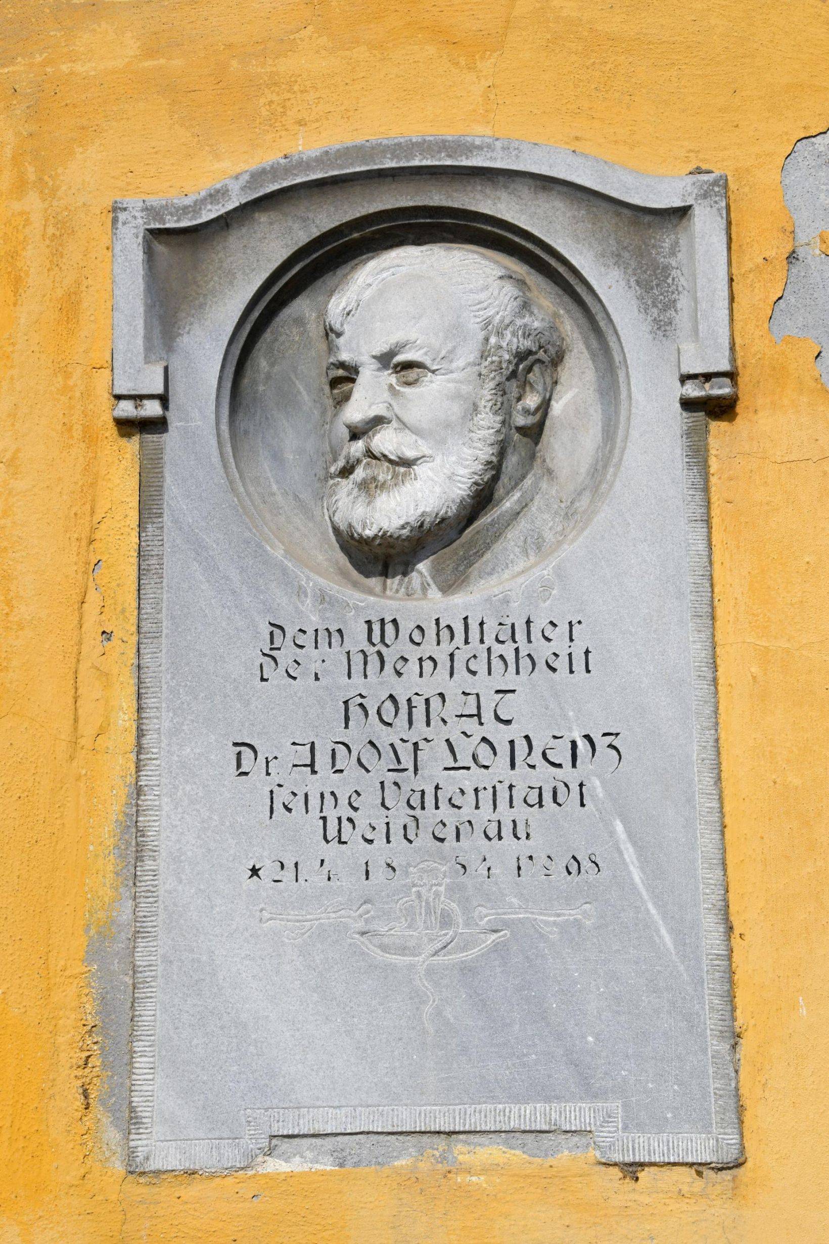 Foto: Miroslav Trávníček