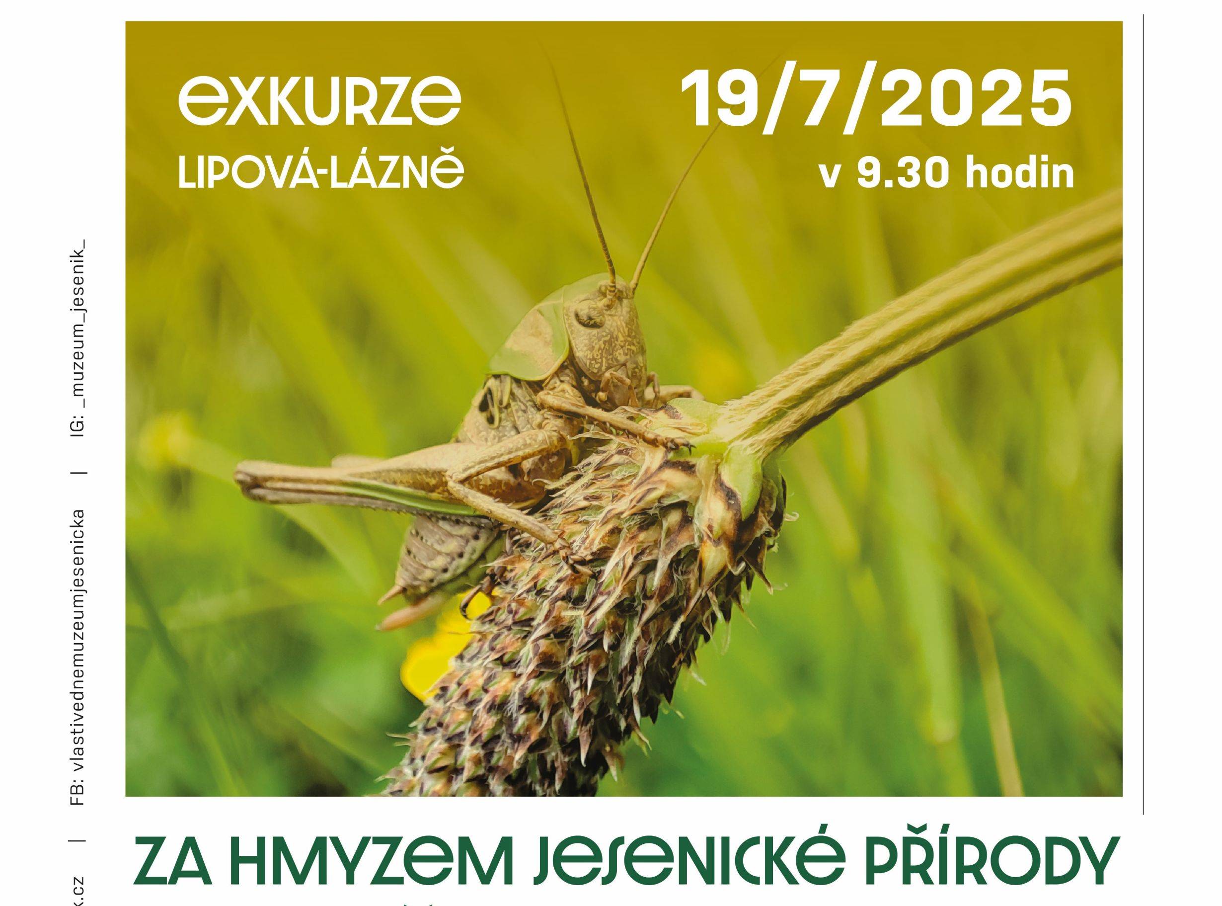 Obrázek bez názvu