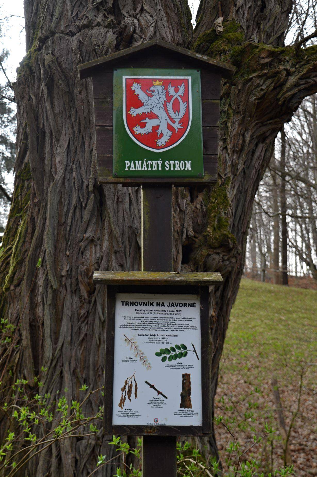 Foto Miroslav Trávníček