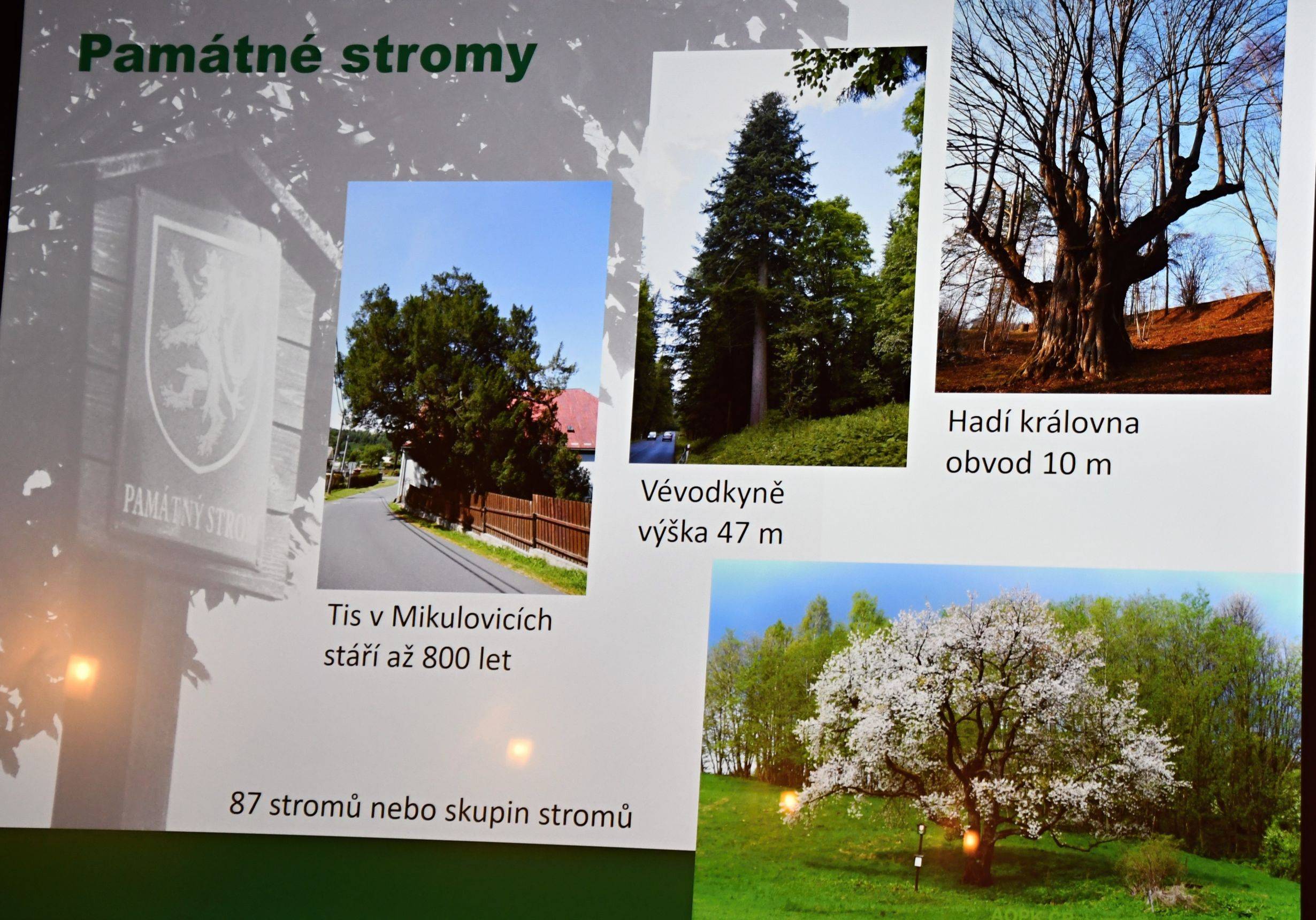 Foto Miroslav Trávníček