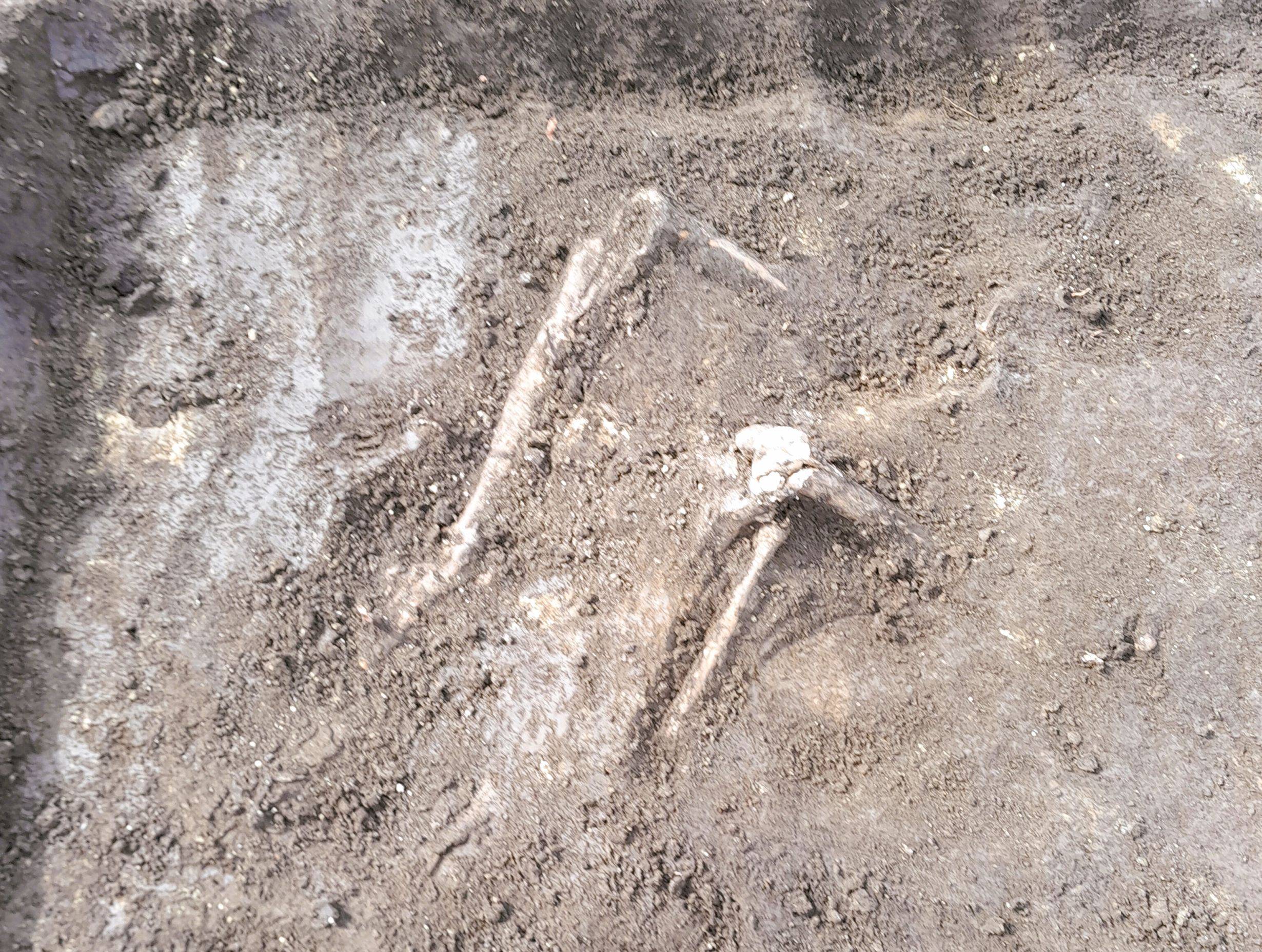 20260422_154505 zm.jpg