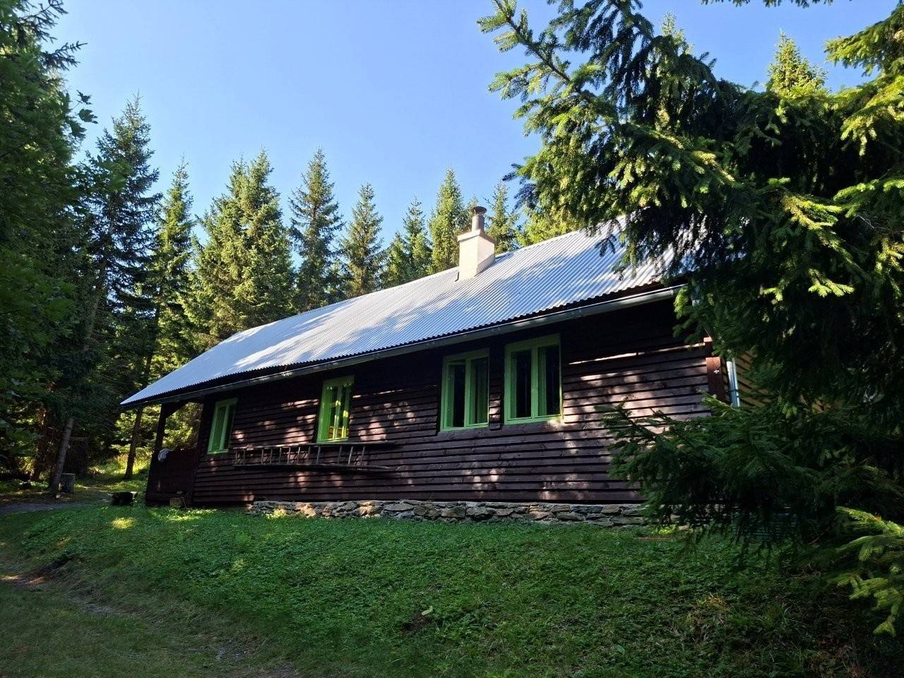 20260808_091924.jpg