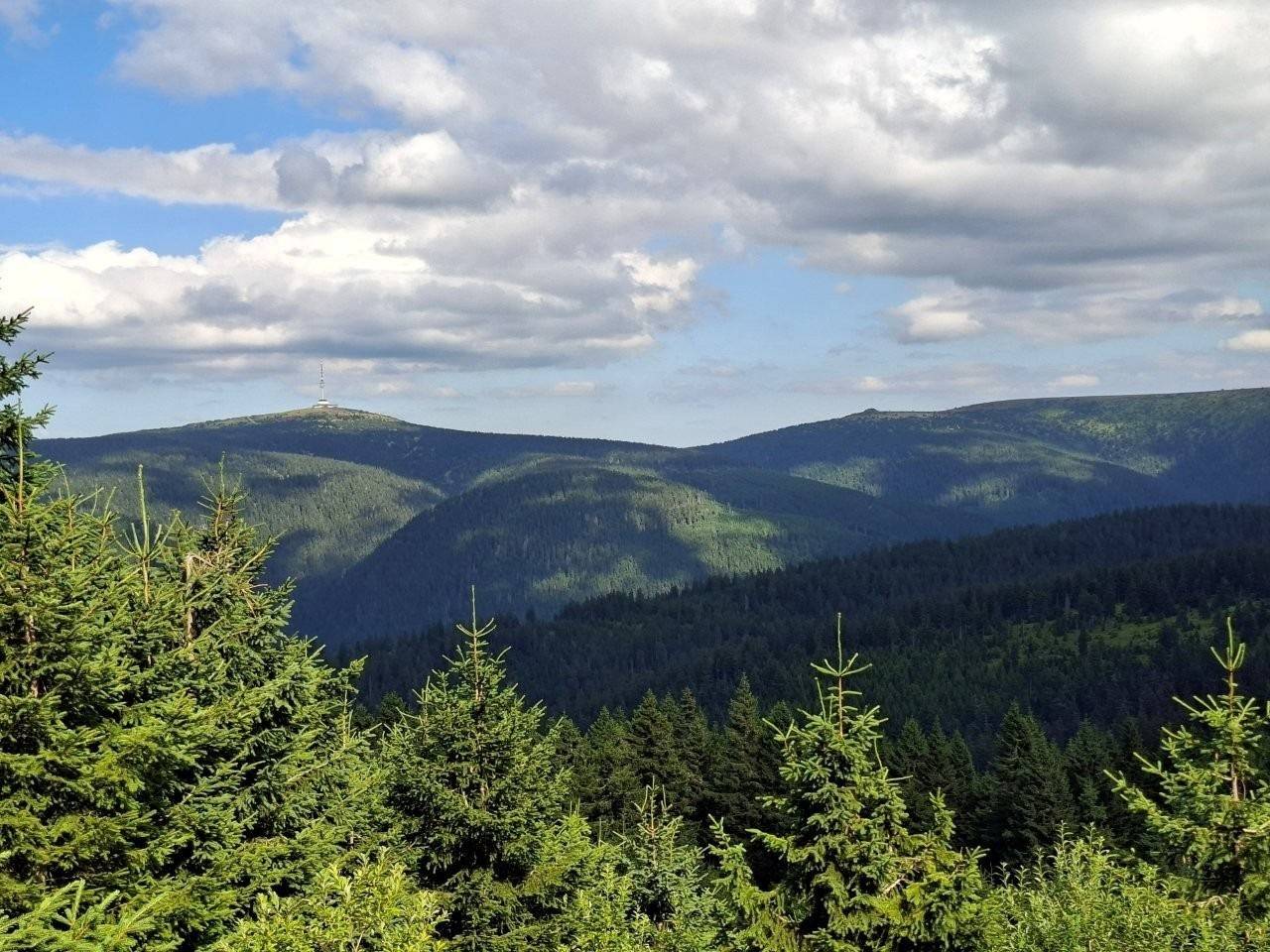 20260808_154539.jpg