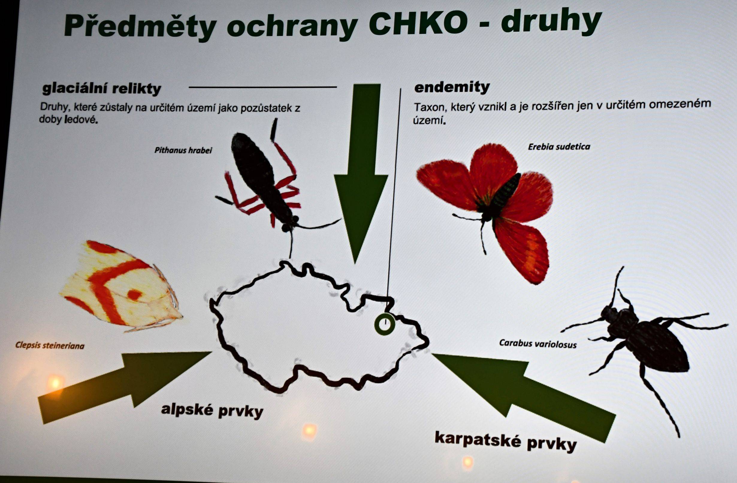 Foto Miroslav Trávníček