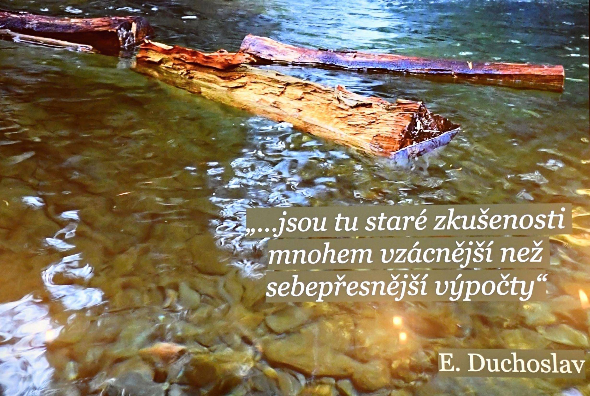 Foto Miroslav Trávníček