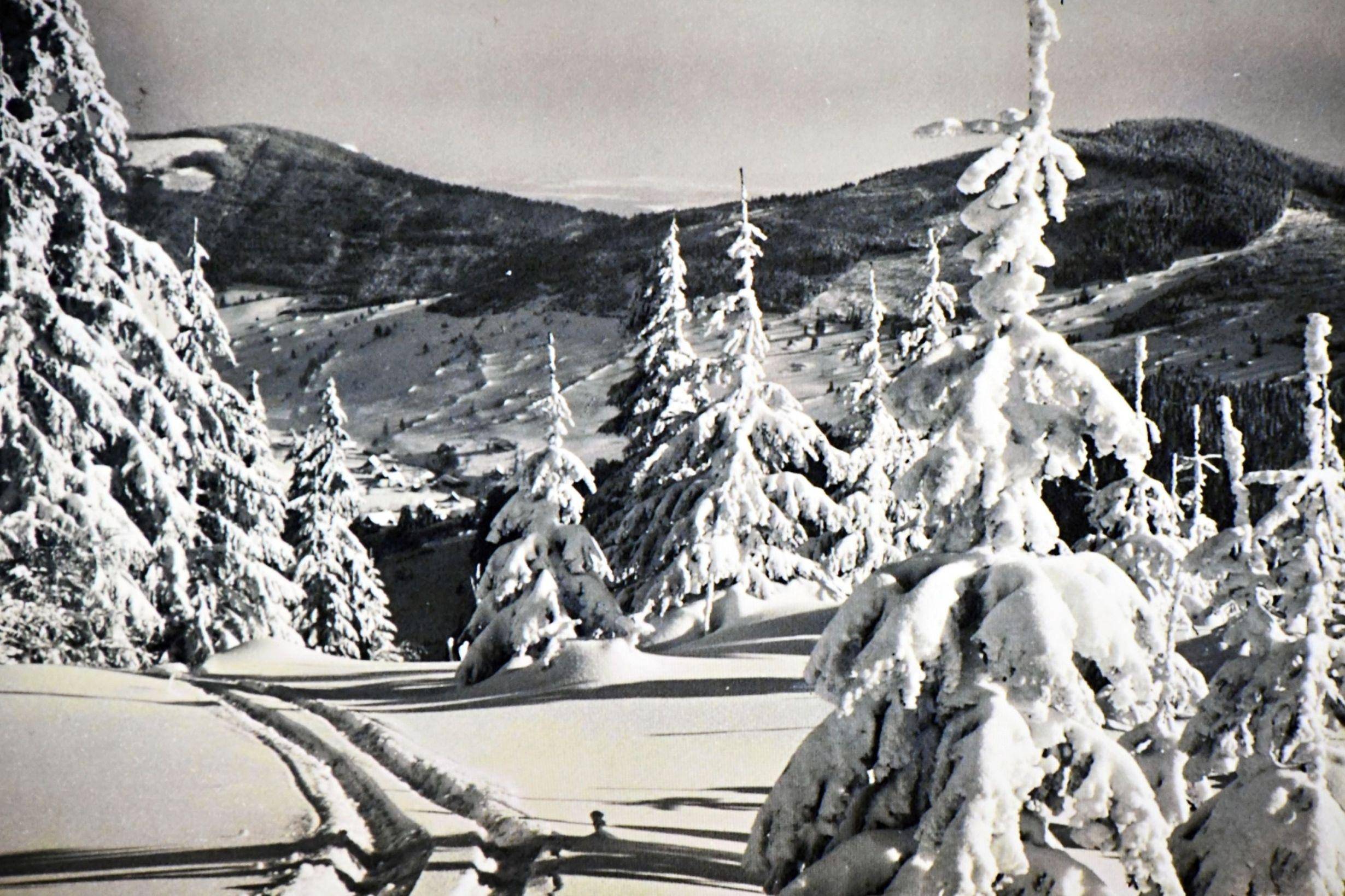 Foto Miroslav Trávníček