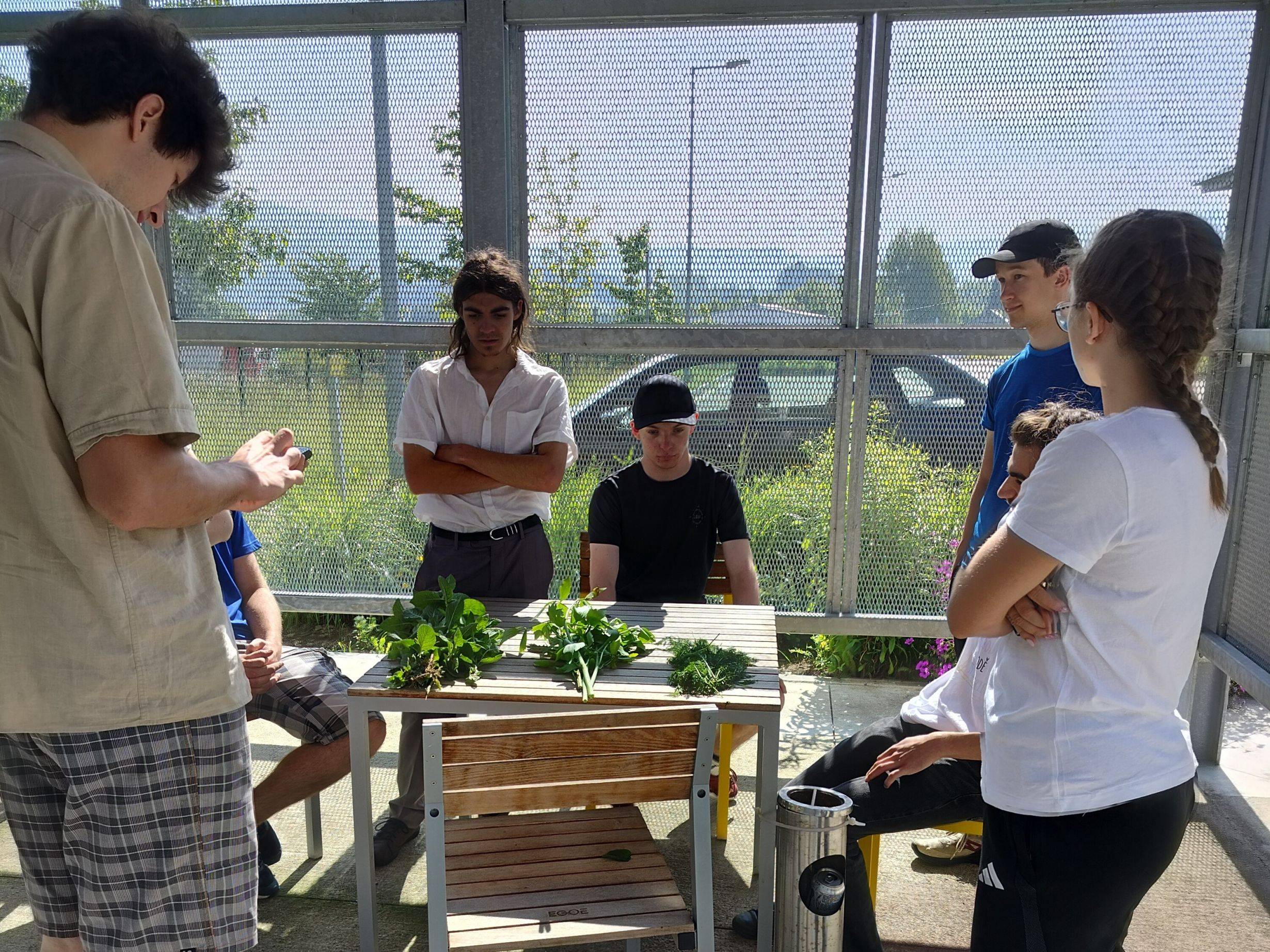 IMG20240609092823 web.jpg