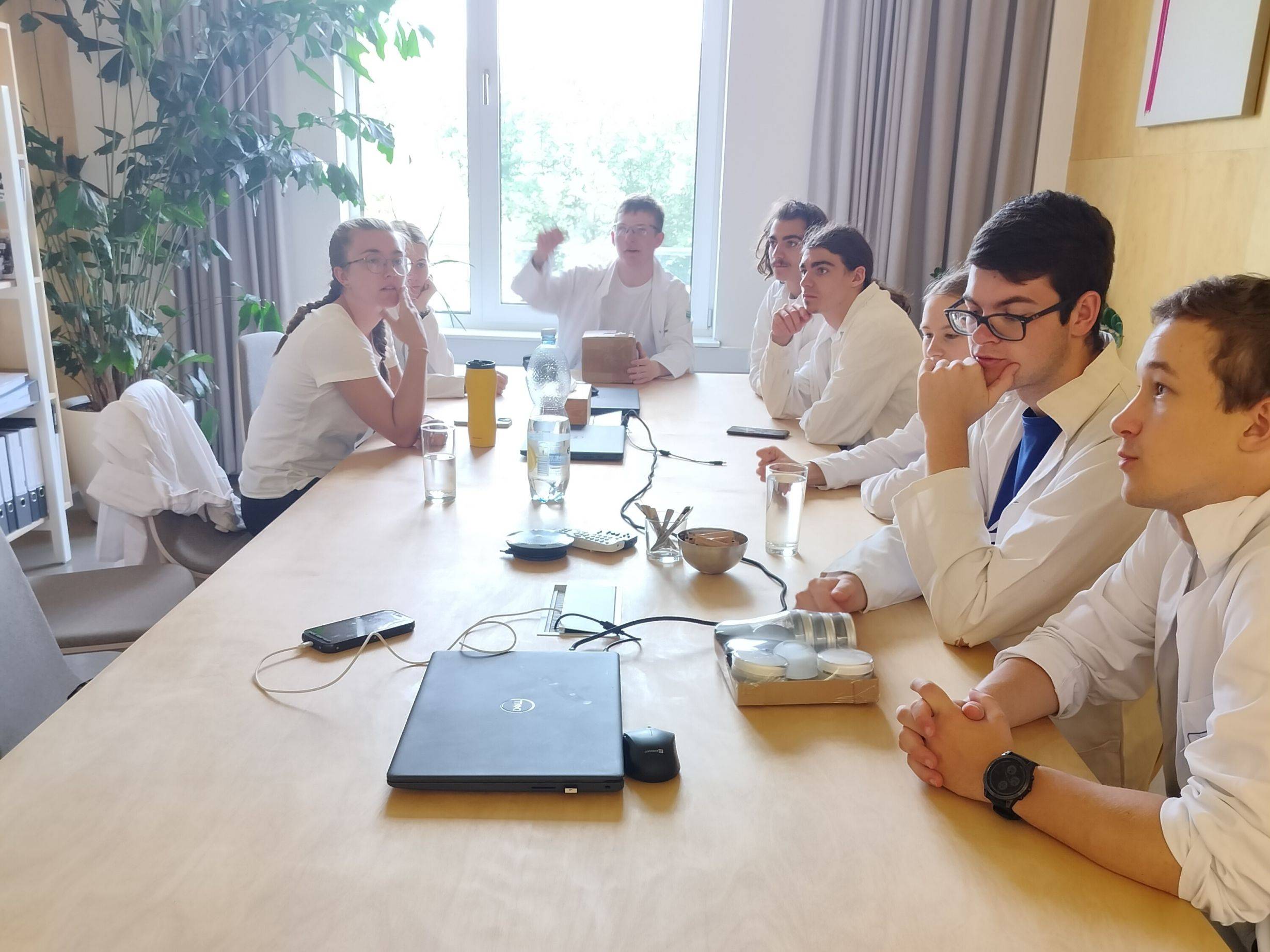 IMG20240609102206 web.jpg