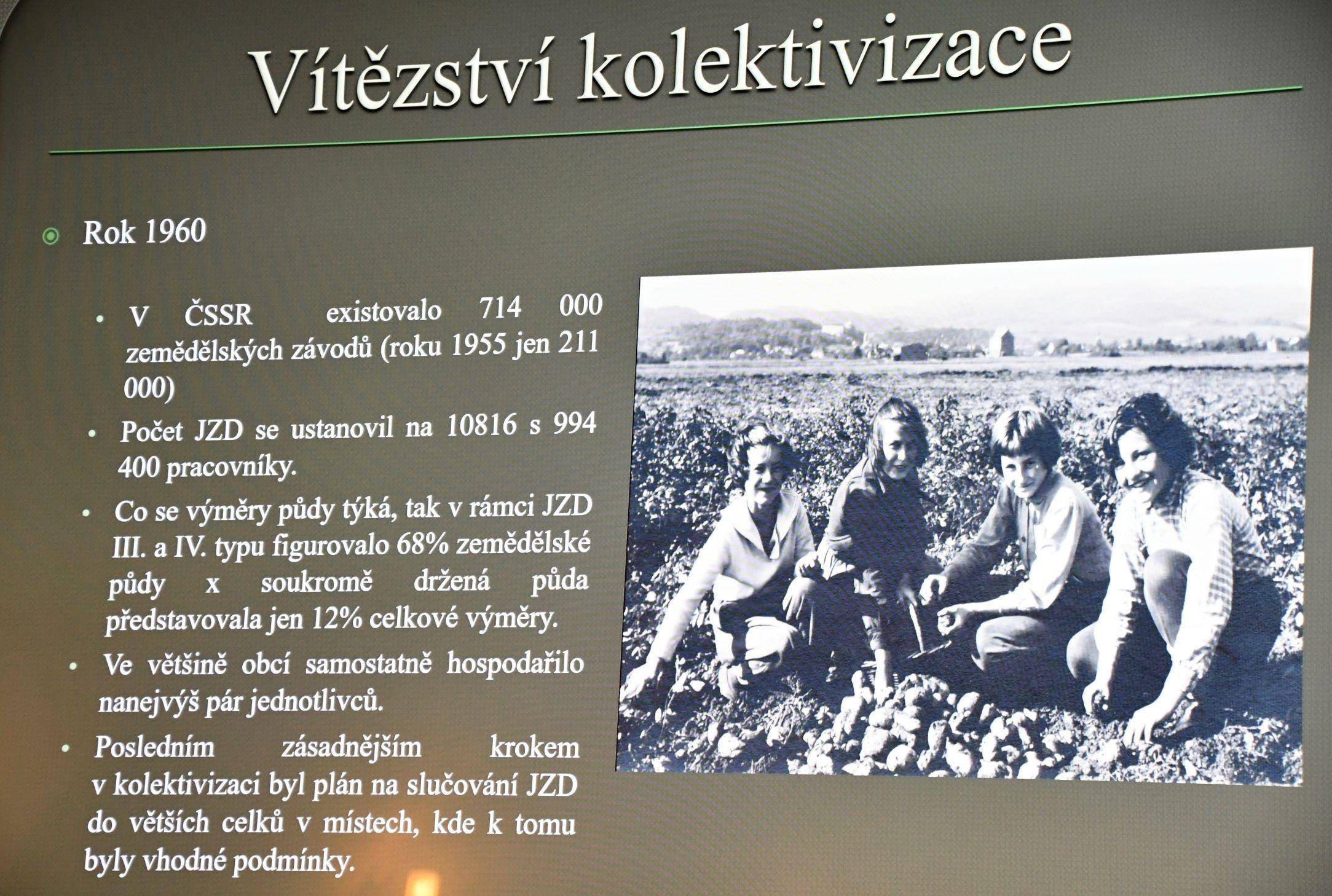M. Trávníček 3.jpg