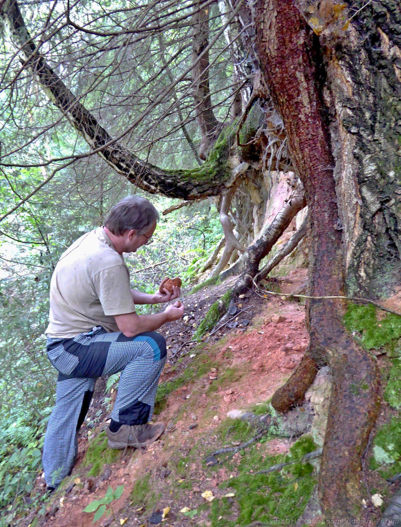 P1220154a.jpg