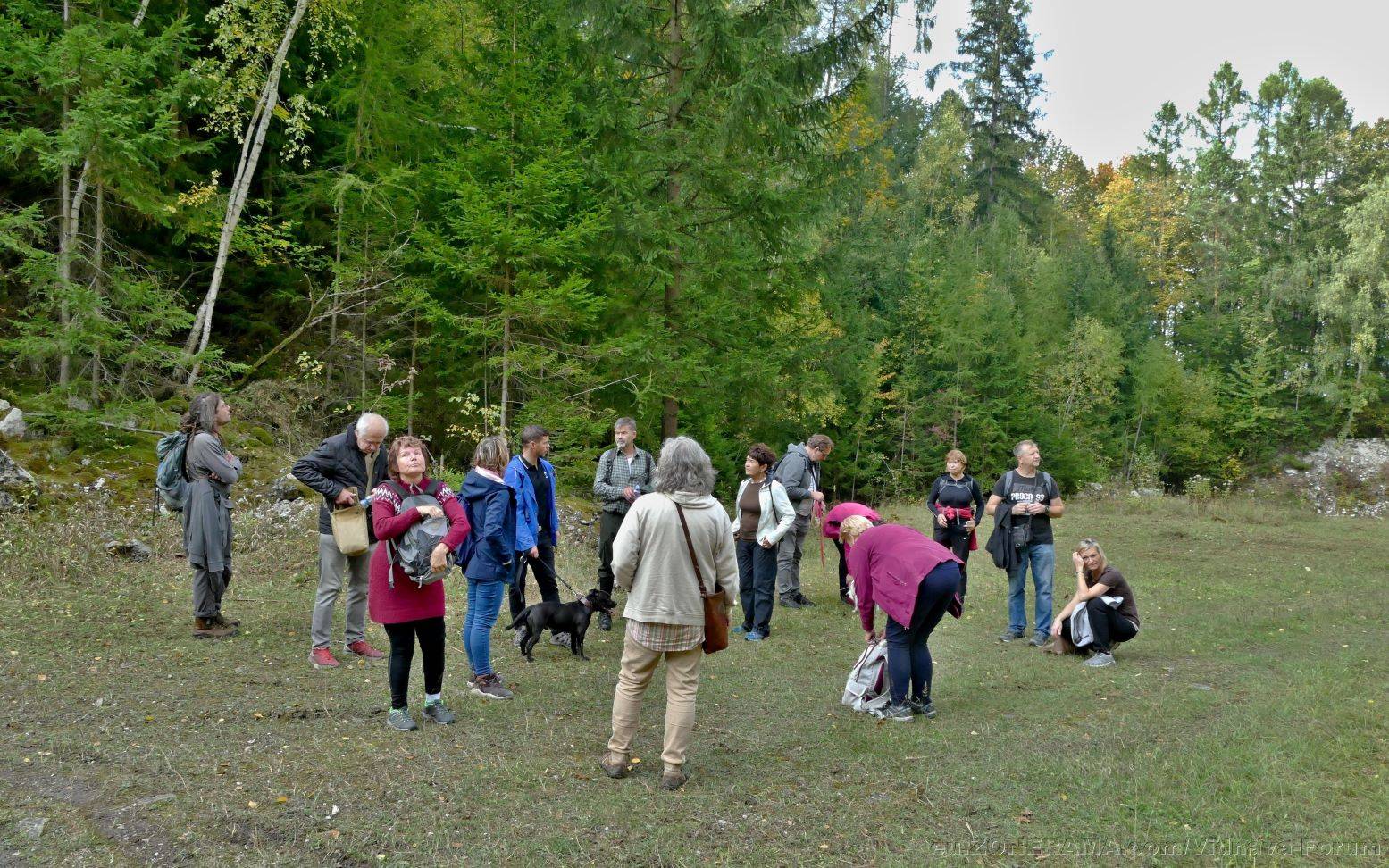 P1240487a.jpg