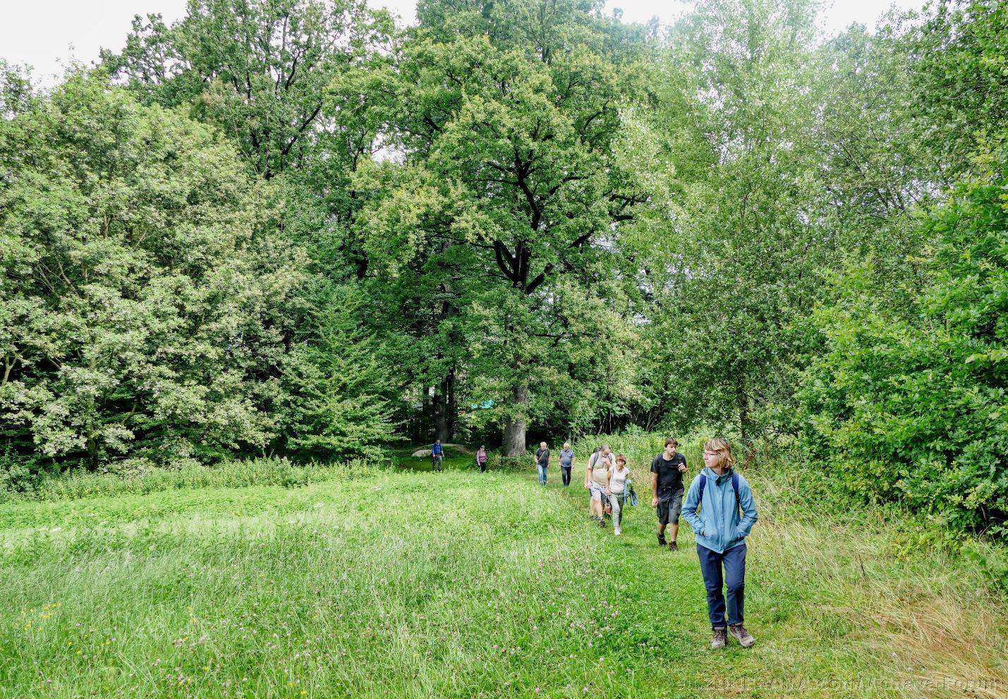 Foto František Kreisinger