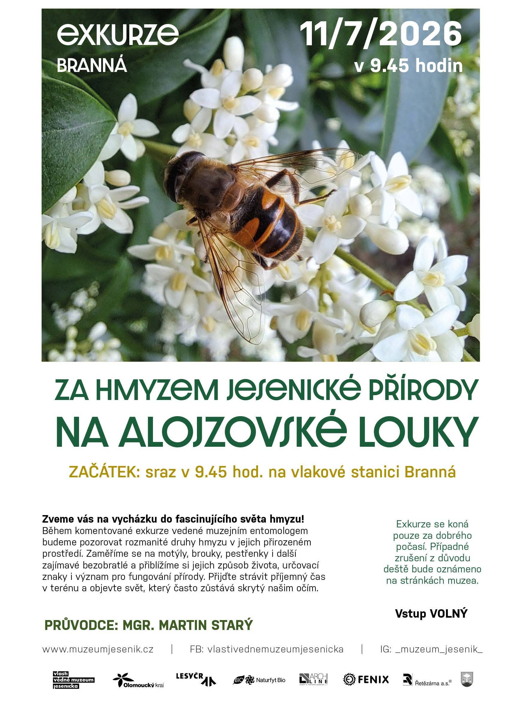 Obrázek bez názvu