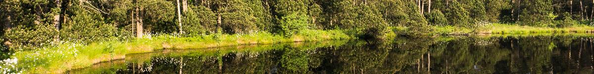 Díl první: Prapodivná historie dřevěné sošky pastýře Gilla