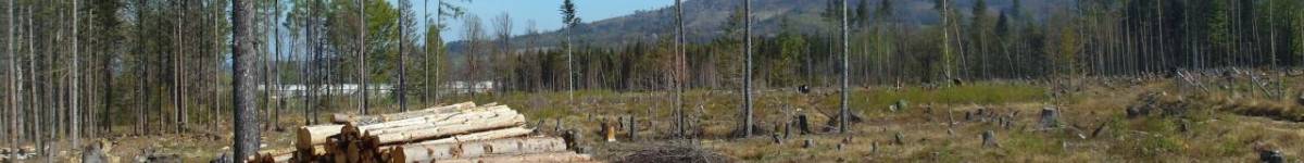 Díl pětatřicátý: Země mluví. A ne příliš vesele...