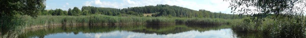 Díl jedenačtyřicátý: Málem ztracené mokřady u Vidnavy