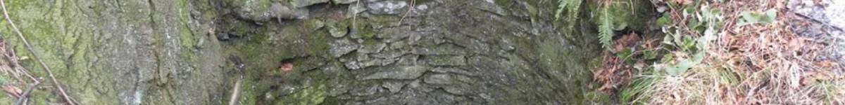 Díl třicátý: Leuchtenstein, tajemný hrad jesenického podhůří