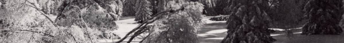 Díl třiačtyřicátý: Nemoc, nebo vražda? Záhadná smrt tříčlenné rodiny na Rejvízu o Vánocích roku 1891