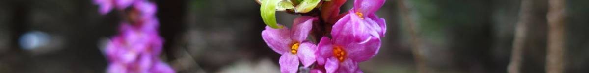 Díl devětačtyřicátý: Tichá smrt č. 3 aneb Nejen zbraní mrtev je člověk