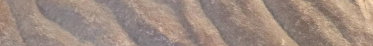 Díl osmatřicátý: Přes půl druhé miliardy let staré jezerní dno v jesenickém muzeu