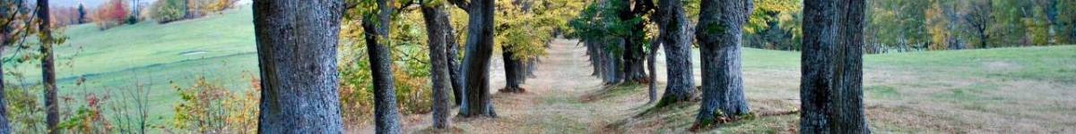 Díl dvanáctý: Příběh poutního kostela sv. Anny nad Andělskou Horou