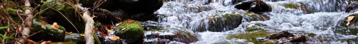 Díl pátý: Sakrující fořt z Videlského údolí. Lowagův literární Benedix rozesměje i dnes