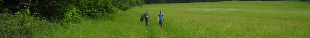 T-EXPEDICE JESENÍKY