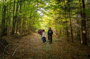 Vycházka za dějinami Videl a Bílého Potoka a krásami podzimních hor