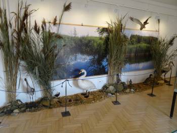 Výstava Bohatství ledu a vody zahájena bez vernisáže