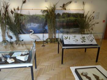 ČRo Olomouc o výstavě „Bohatství vody a ledu“