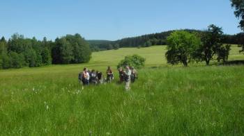 Botanická exkurze Kytičky osady Hraničky