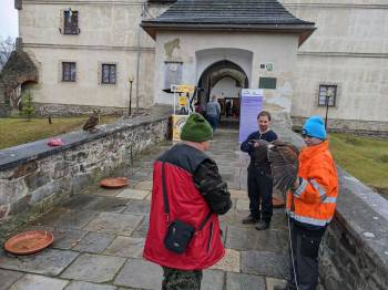 Ve Vodní tvrzi proběhl již druhý zážitkový den pro děti pěstounů