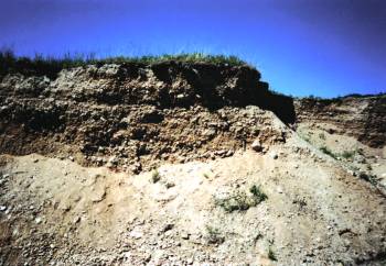 Publikace v Acta Musei Moraviae