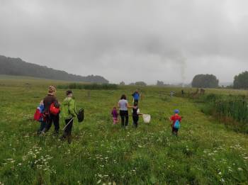 Exkurze za drobnými vodními živočichy