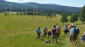Za květnatými loukami Ostružné