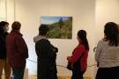 Komentovaná prohlídka výstavy