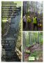 Kaltenštejn – středověký hrad z pohledu nedestruktivní archeologie (komentovaná prohlídka)