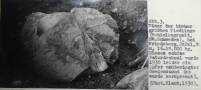 Největší bludný balvan na Jesenicku – žula z jz. Švédska (regionu Bohuslän). Balvan o velikosti 2 x 2 x 1,8 m byl po svém odkrytí v Žulové roku 1930 bohužel rozbit (zdroj: F. Kiegler: Erdgeschichte des Weidenauer Ländchens (1938), SOkA Jeseník).