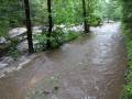 Černý potok místy zaplavil přilehlou lesní cestu. 20. 6. 2020. Foto: M. Hanáček.