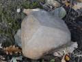 Kameny na náhorní plošině Butterbergu byly dlouhodobě vystaveny působení větru, který na nich vybrousil hrany a hladké plochy. Délka kamene: 20 cm.