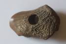 Archeologická podsbírka