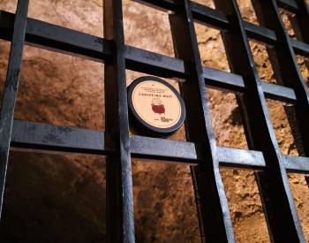 Čarodějná mast slaví úspěch a rozšiřuje prodejní místa